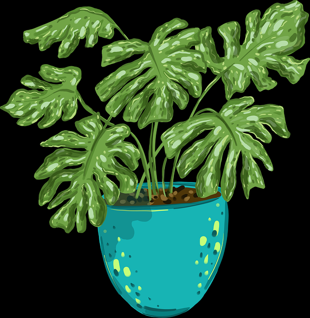 国产探花私密圈子玩法揭秘｜玩法揭秘