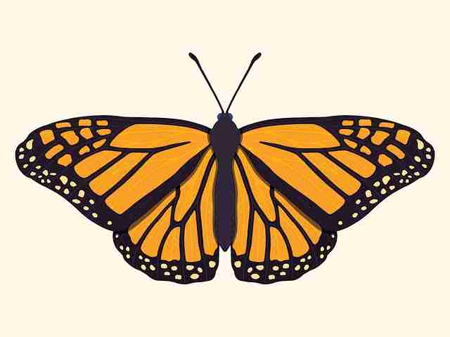 快手成人版短视频内容创作灵感库-实操指南