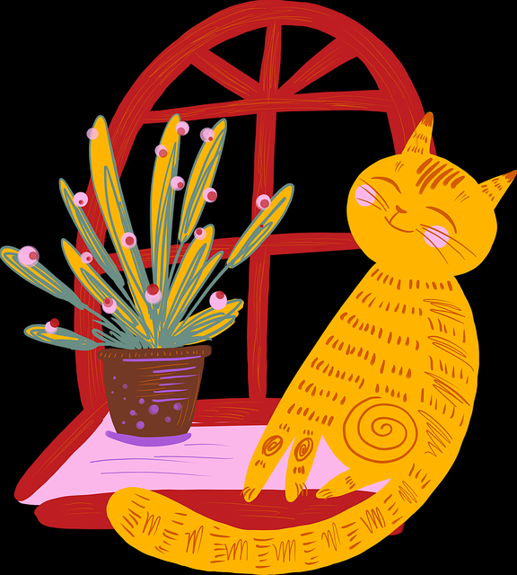 国产探花如何打破同质化困局？｜新手快速上手，全国探花视频在哪看