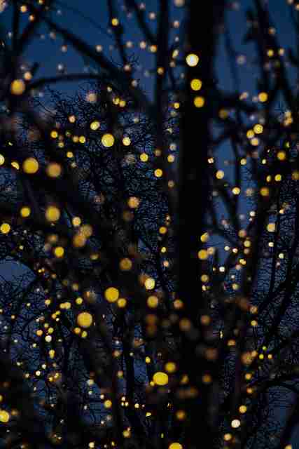 热点追踪｜每日大赛人气选手榜单发布，每日十大热点