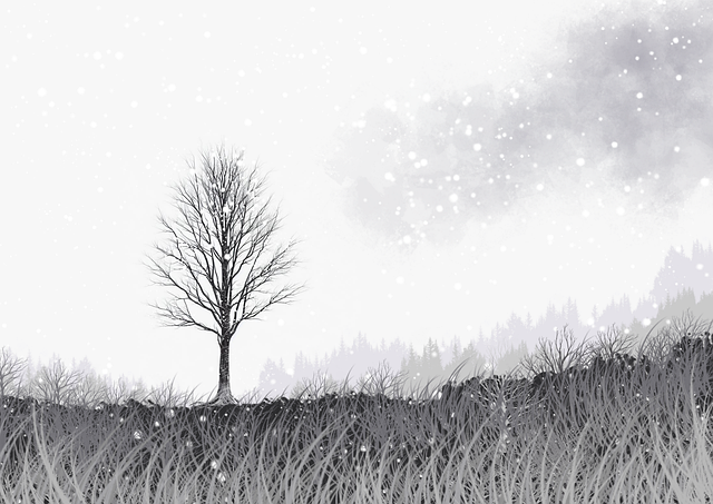 平台使用避坑指南｜aaa永久在线观看海外访问加速指南，aaa member